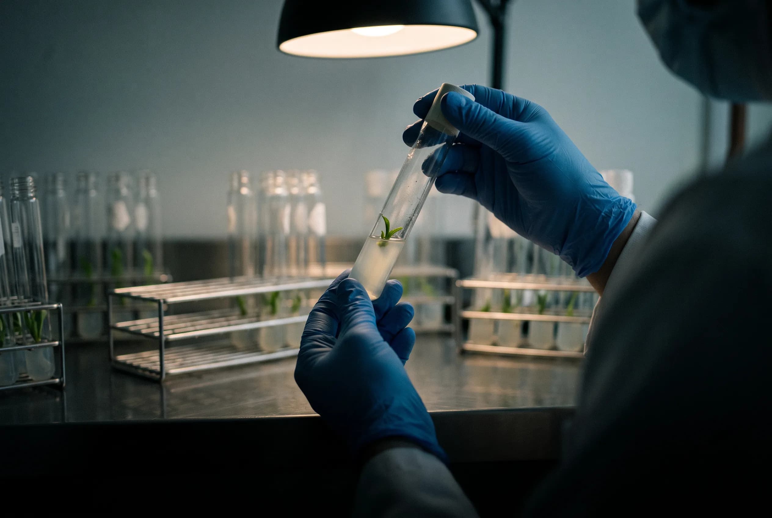 A technician holding a culture tube up to the light to inspect it for contamination
