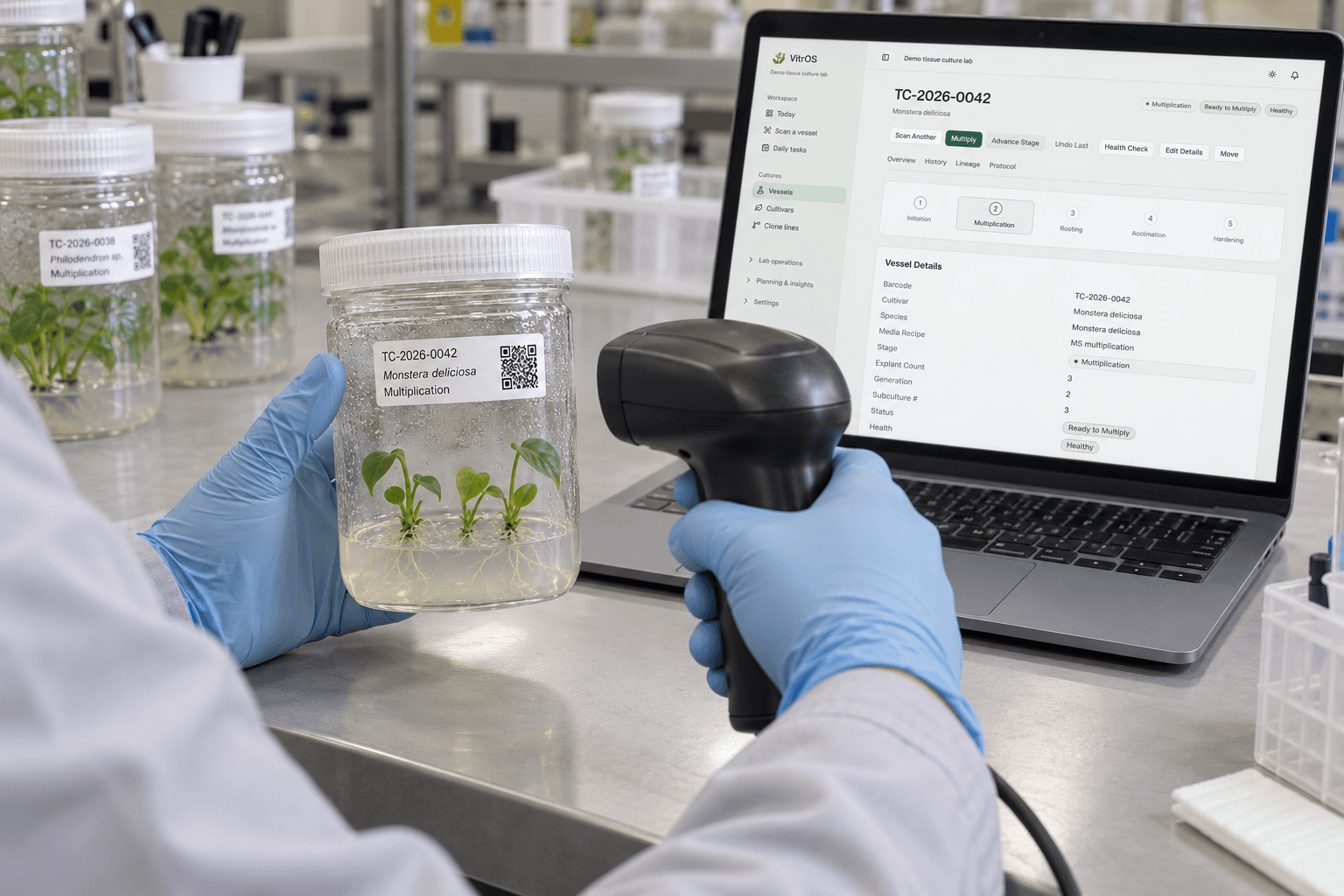 AI photo illustration of a technician working with plant tissue cultures at a laboratory bench