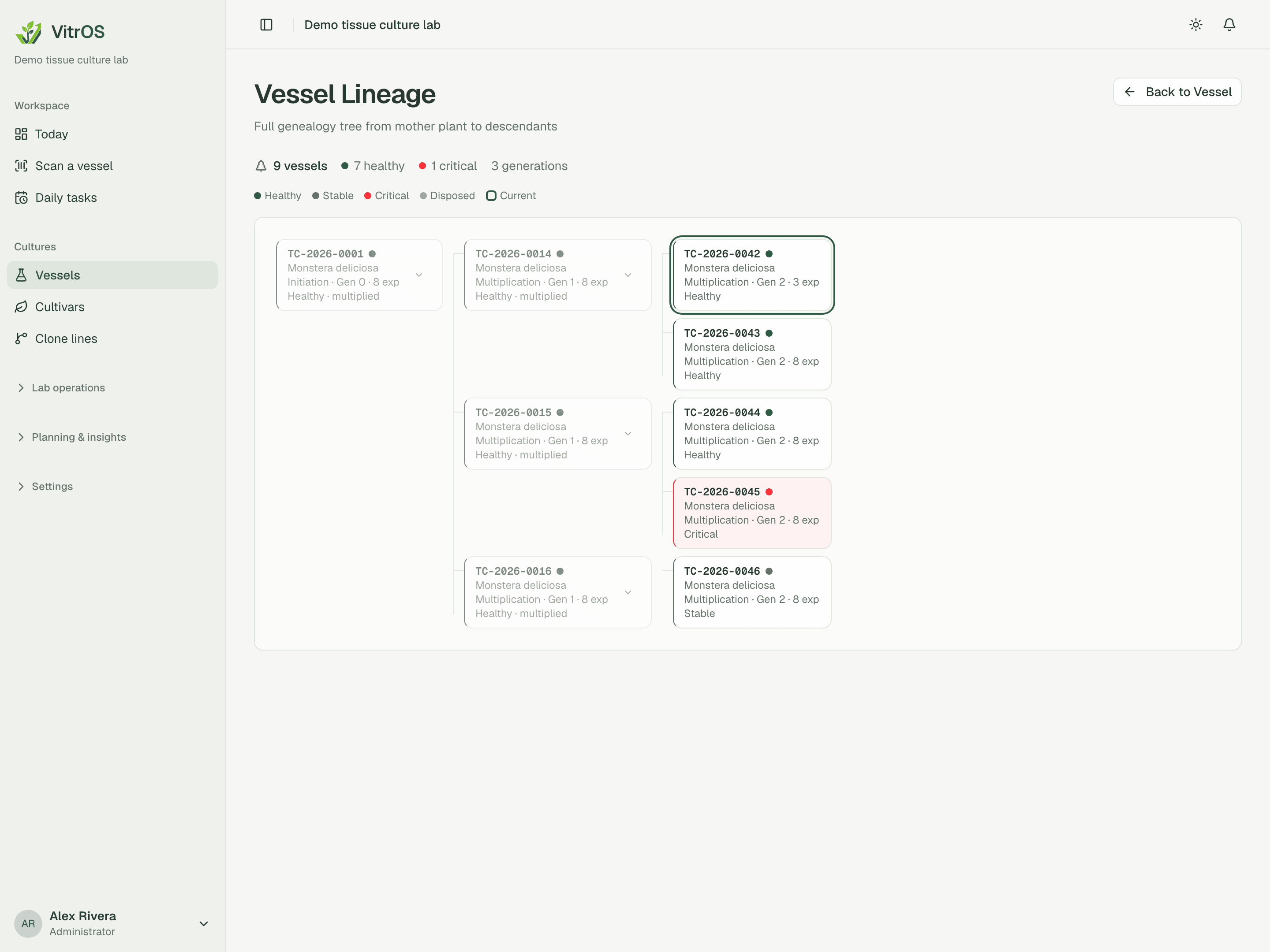 Actual VitrOS lineage connecting parent TC-2026-0014 to selected vessel TC-2026-0042; demonstration data