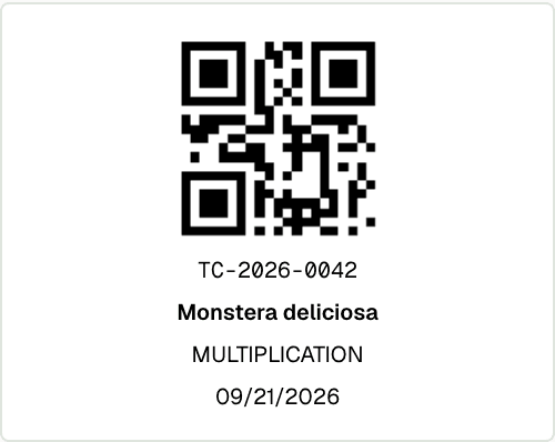 VitrOS QR label for TC-2026-0042, Monstera deliciosa, multiplication stage